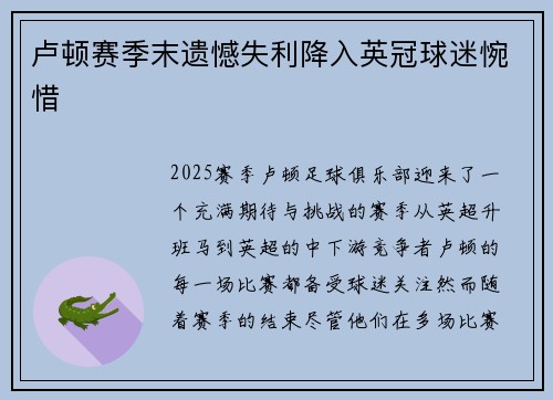 卢顿赛季末遗憾失利降入英冠球迷惋惜